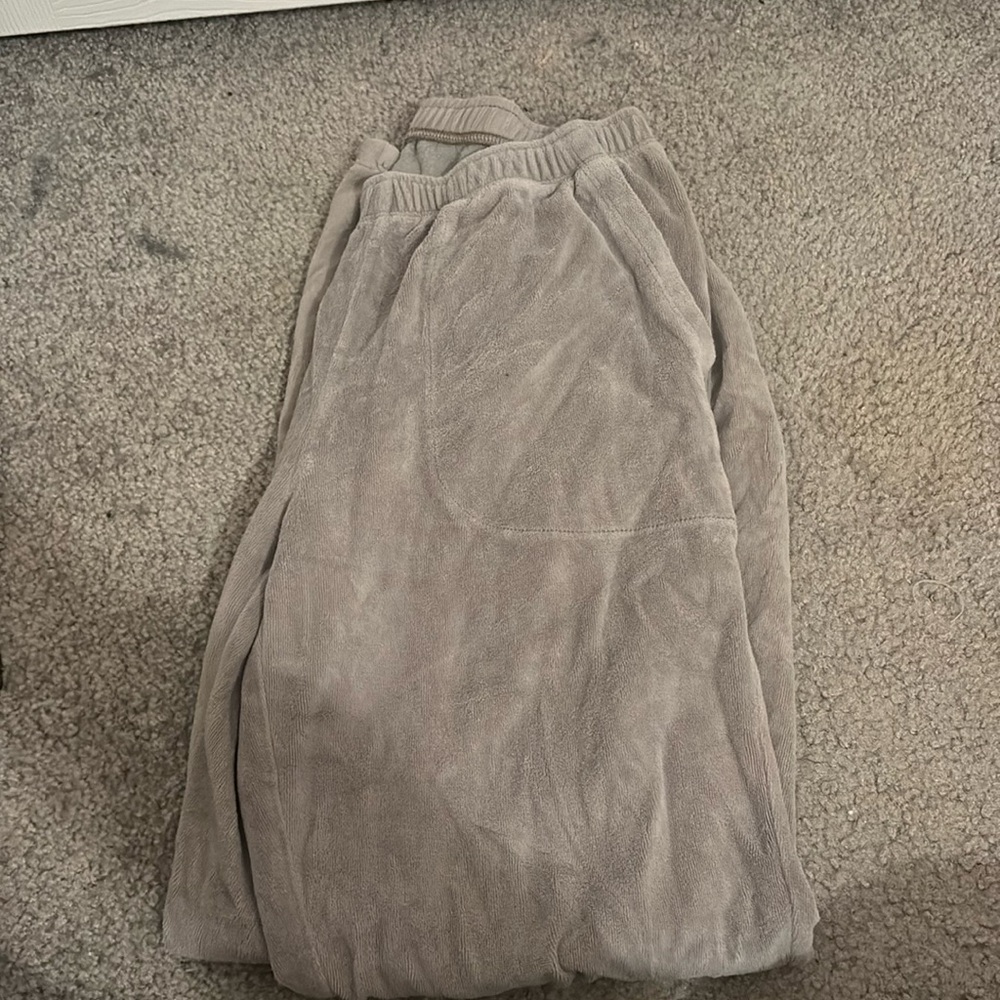 aeire velvet sweatpants
